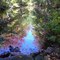 The Mill River