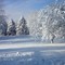 Winter In   Bayside.