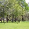 North End of Overton Park