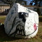 Dog Rock Danbury