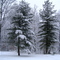 Snow day, yeah !!!