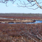 Dead Stream Swamp in early April