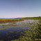 Bear Creek Back Water