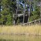 Muskrat Lake Shack