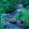 small stream in northern Michigan