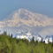 Mount McKinley in Denali