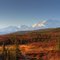 Denali