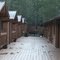 Moose in Camp