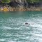 Kachemak Bay Alaska