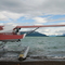 Cessna 207, Katmai National Park, Alaska