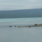 Around Katmai National Park, AK
