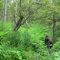Hiking in Alaska (Katmai National Park, AK)