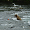 Alaska91