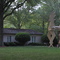 Giant Chicken