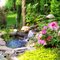 Flamingo Pond
