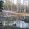 The Pond