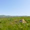Lime Ridge Open Space
