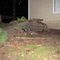 Tree Uprooted