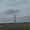 Lone tree