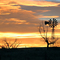 Windmill Sunrise in Colorado