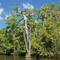 Jonathan Dickinson State Park