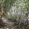 Jonathan Dickinson State Park
