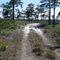 Trail/Road View