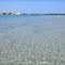 on the sandbar