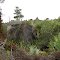 Hobe Mountain Abandoned Bunker