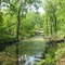 Whaley Drain