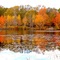 Autumn @ Pond Meadow