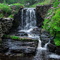 Moore Park Summer Waterfall