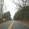 Trees before Brooke Haven