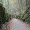 Mass Central (Wachusett Greenways) Rail Trail