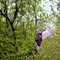 Hawk