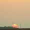 Big Sun Over Cornfields