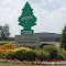 Little Trees Corporation