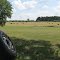 Summer Field