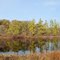 Triangle Bog in autumn