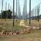 People live near those powerlines