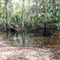 Stream view