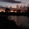 From the muddy banks of the Sammamish