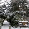 Conifer View Park Pathway