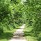 Long Trail
