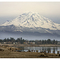 Mount Rainier