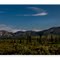 Tundra landscape in Denali Nationalpark