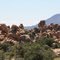 Arizona