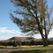 Concho Valley Country Club driving range