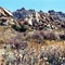 Indian Cove