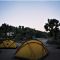 Camping in Joshua Tree National Park